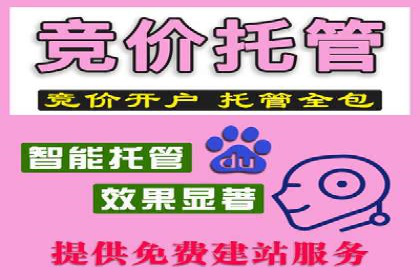 竞价广告的创意与执行：某快消品的营销突破